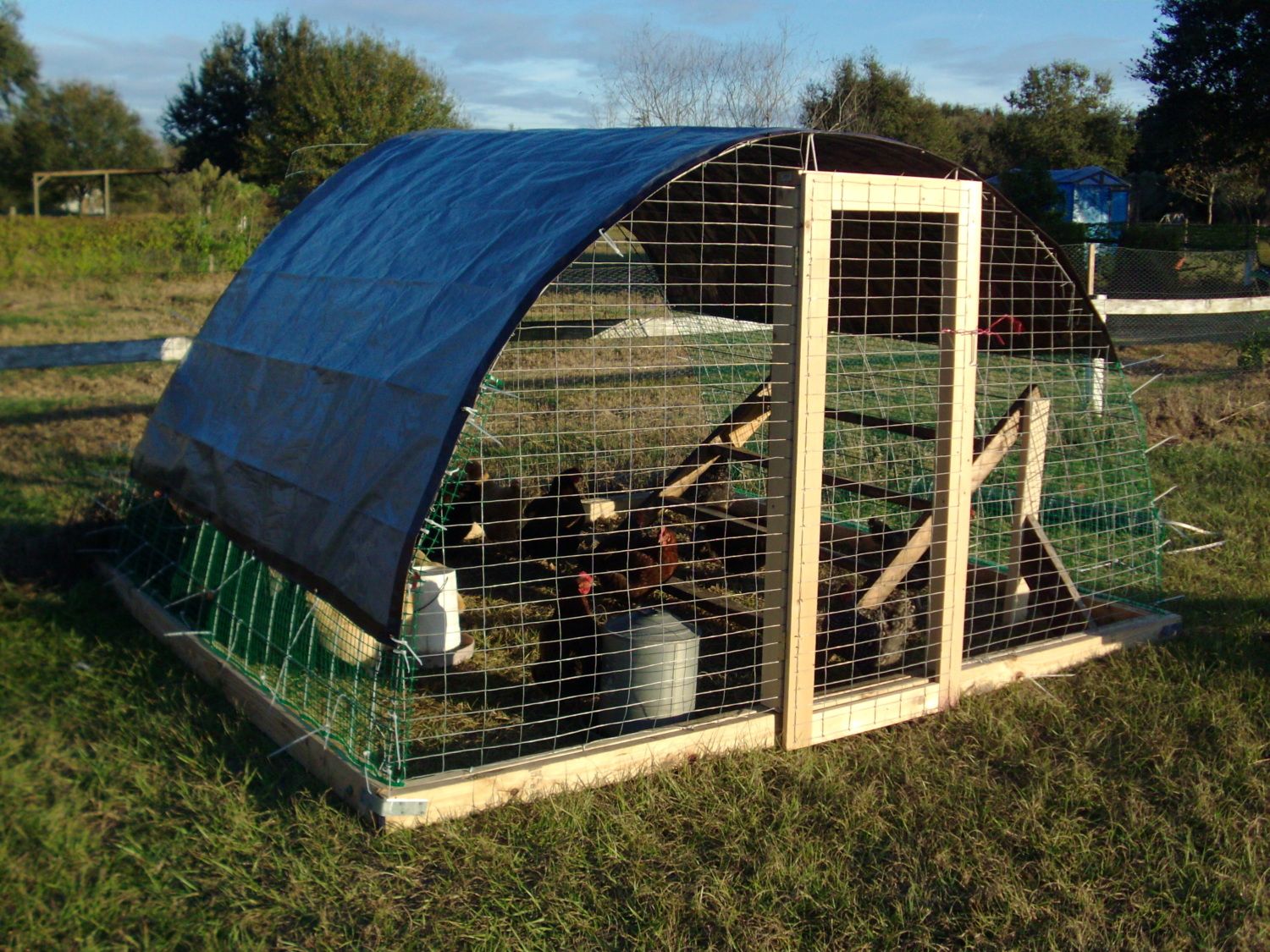 Our Hoop House/chicken tractor - Page 23