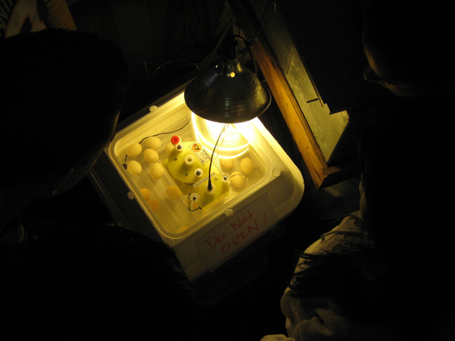 Light over incubator when the camera is in use.