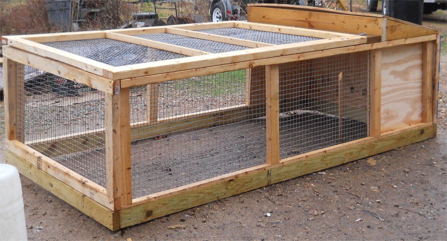 coop question re:housing coturnix outdoors...