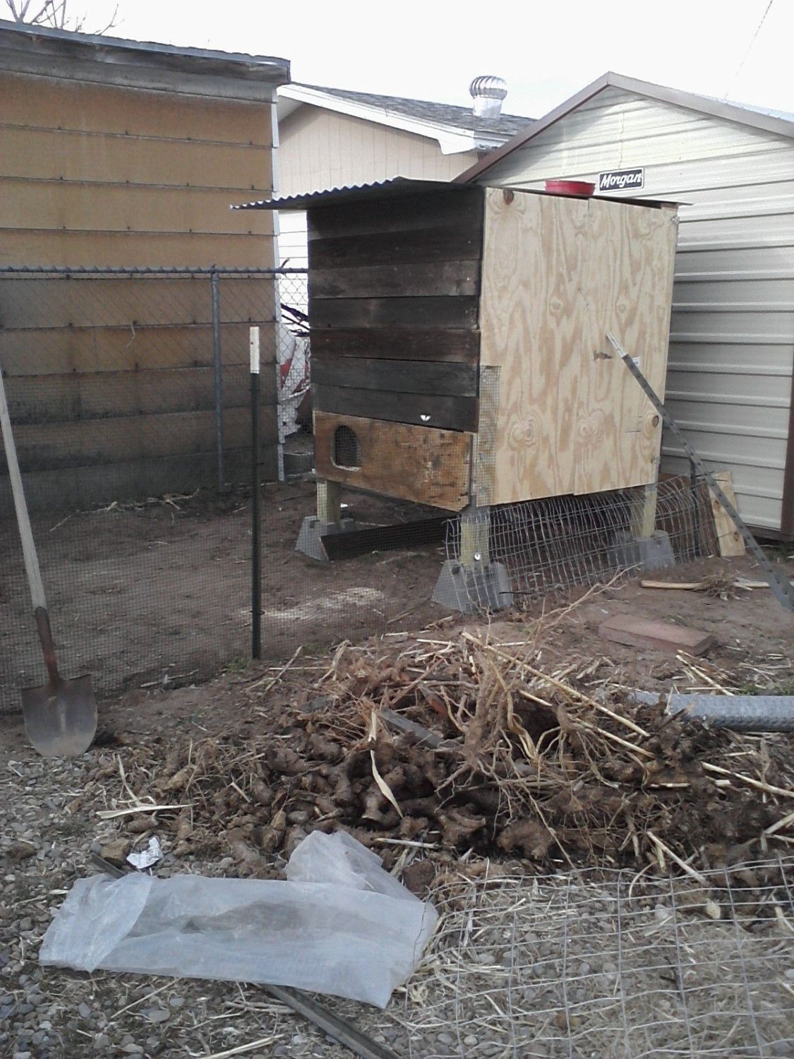 Chick House.jpg