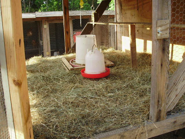 ... as needed. I remove the hay, hose the floor down and put in more hay