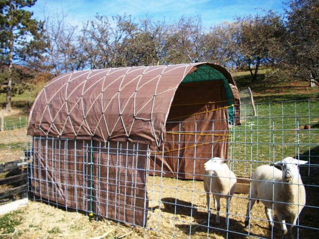 It has many options to turning this structure into a good coop and 