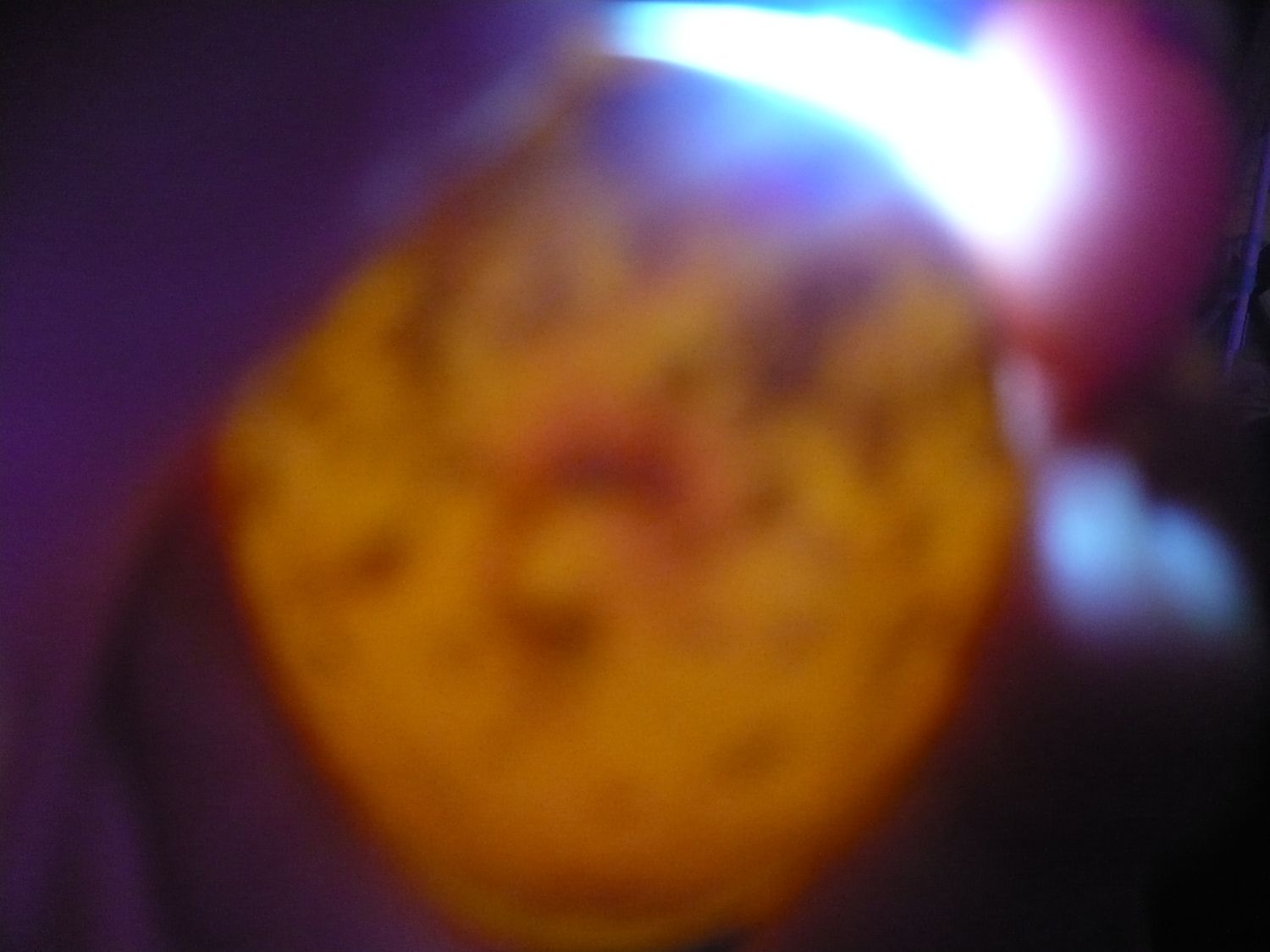 P1070028.JPG