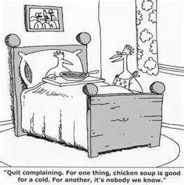 chickensoupforchickens.jpg