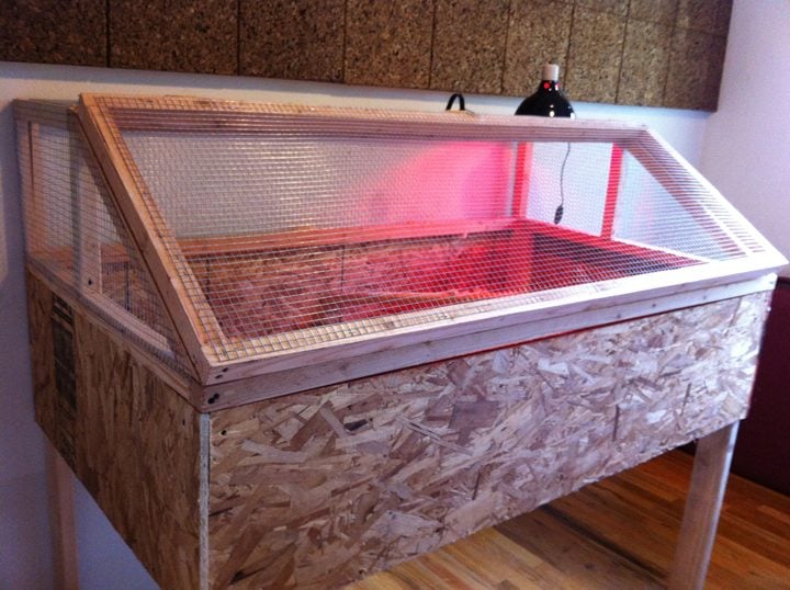 BROODER thread! Post pics of your brooders! Page 185