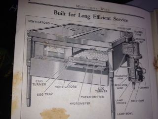 montgomery ward lamp oil incubator