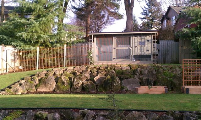 How much did it cost for you to build your own coop?