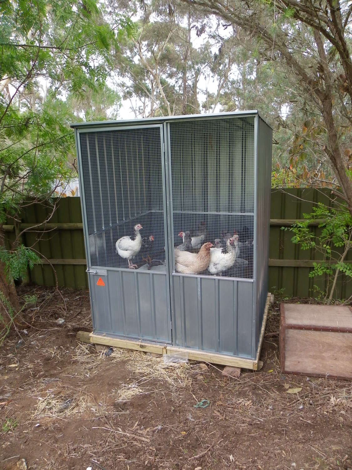 New Coop and Yard!! Has now been named "The Amazing Poultry Pen"!