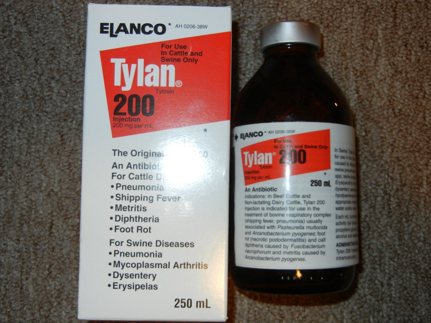 DSCN2219.JPG