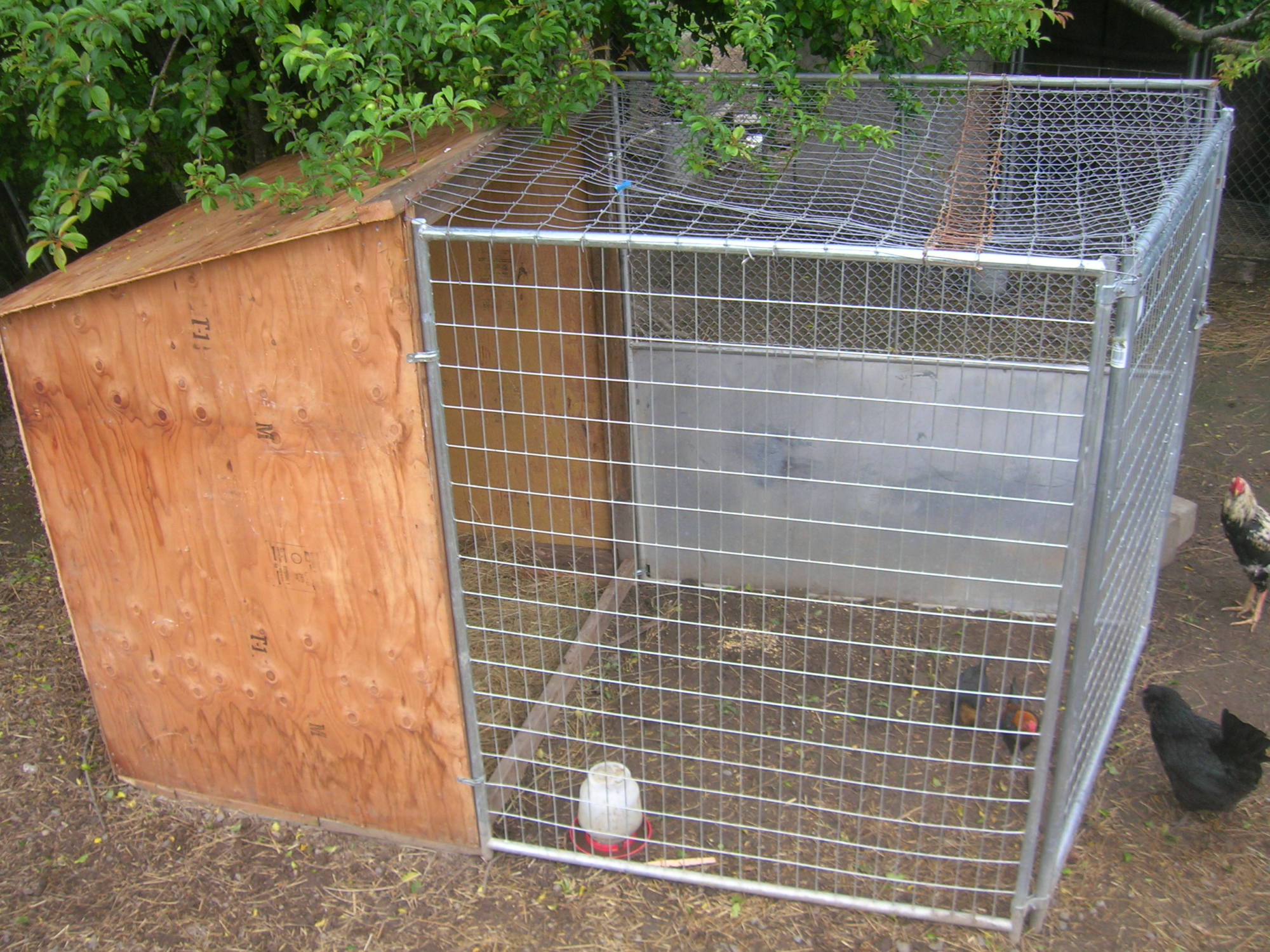 Can someone show me there gamefowl pens? Page 2