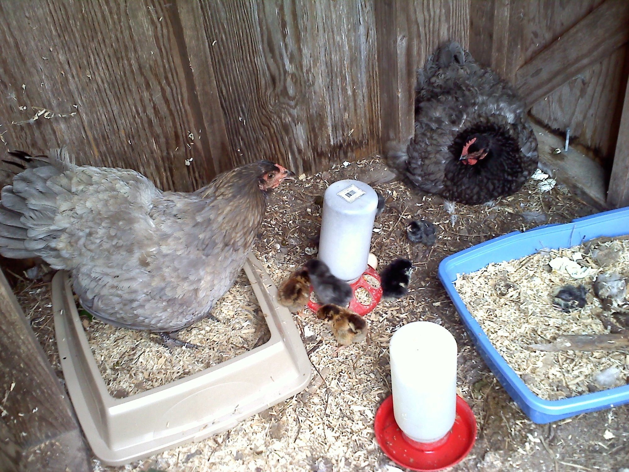 20120601103526.jpg