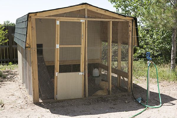 Our garden shed - recycled into a chicken coop