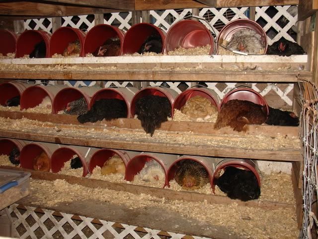 DIY make your own original nesting boxes! What do yours look like 