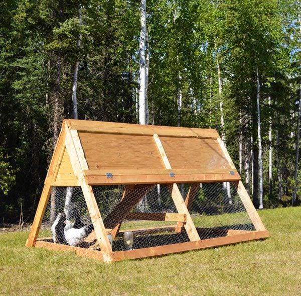 This is a fast, economical but very functional coop that is portable.
