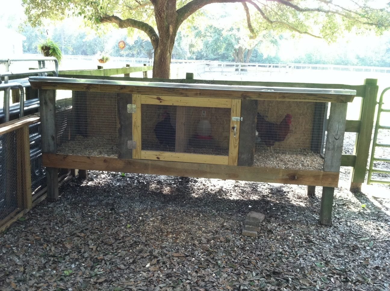My Lg Fowl breeding pens