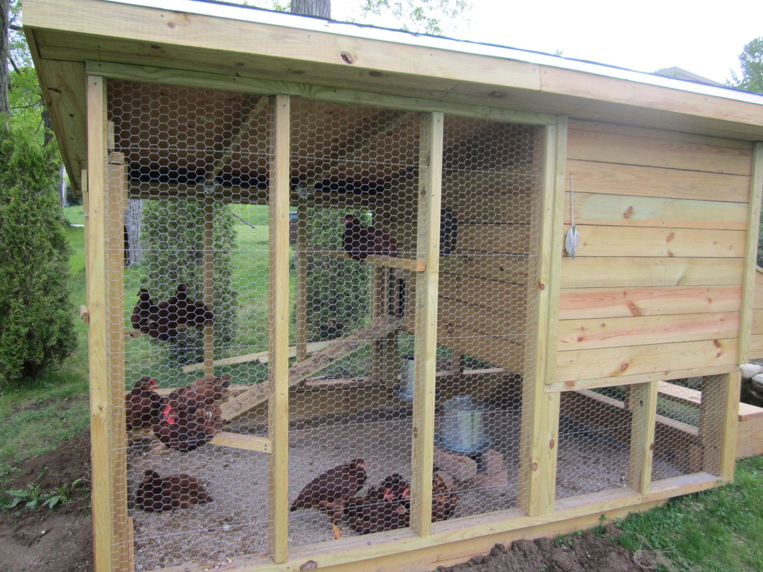 Wichita Style Chicken Coop - In Progress Now! Design Ideas Welcome!