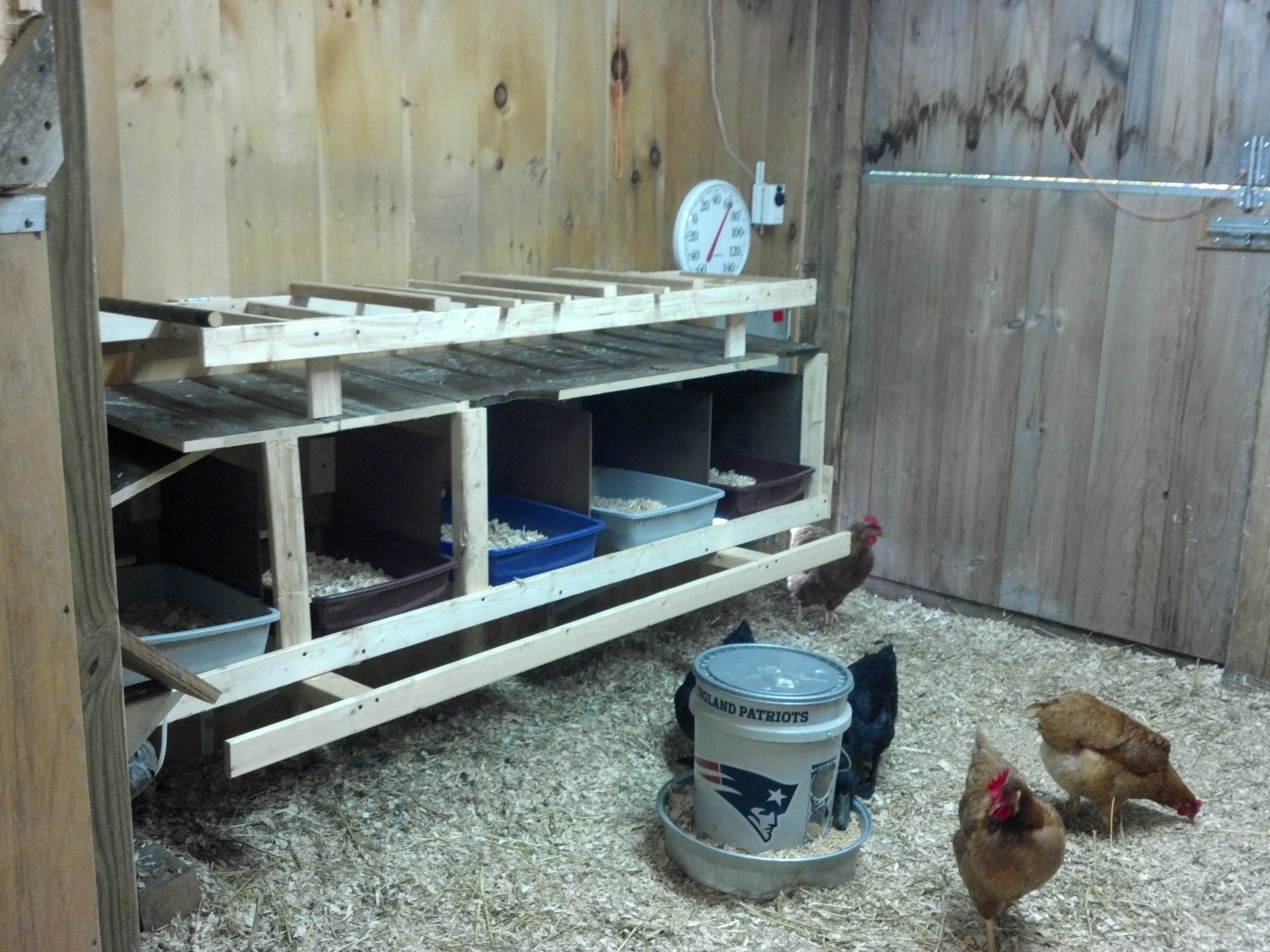  maintenance coop, good ideas for any coop - BackYard Chickens