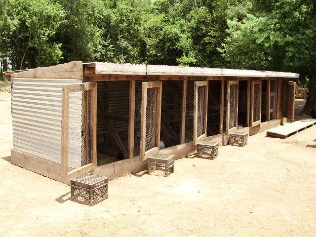 Anyone used wood pallets to make your coops? - Page 3