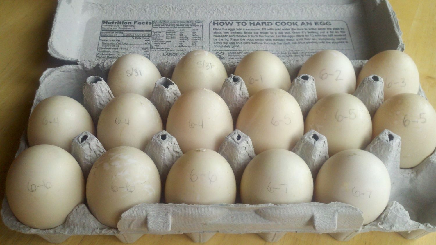 what color are muscovy and mallard eggs?