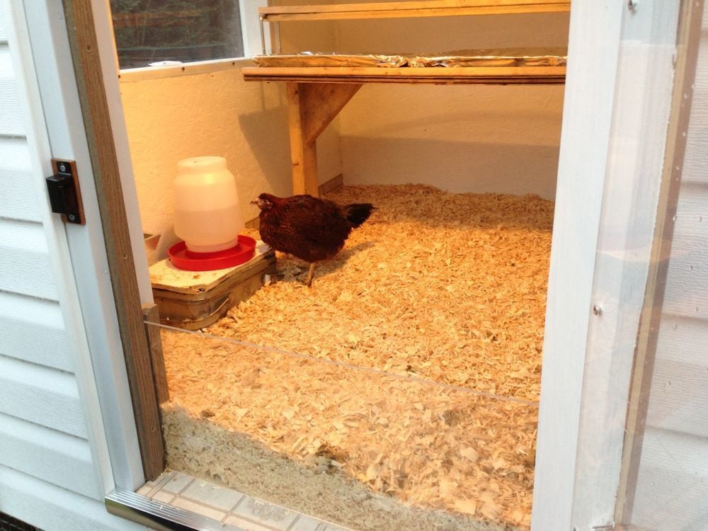 A Well Insulated Chicken Coop BackYard Chickens Community
