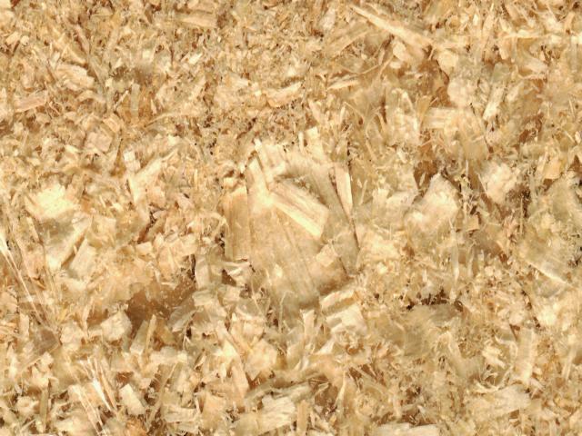 ... Cons of Different Litter &amp; Bedding Types - BackYard Chickens Community