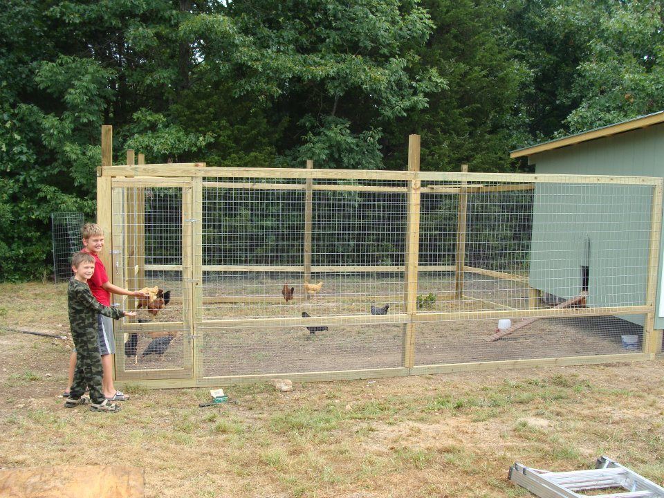 o-family-chicken-coop-backyard-chickens-community