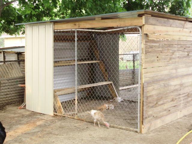 Anyone used wood pallets to make your coops? - Page 3