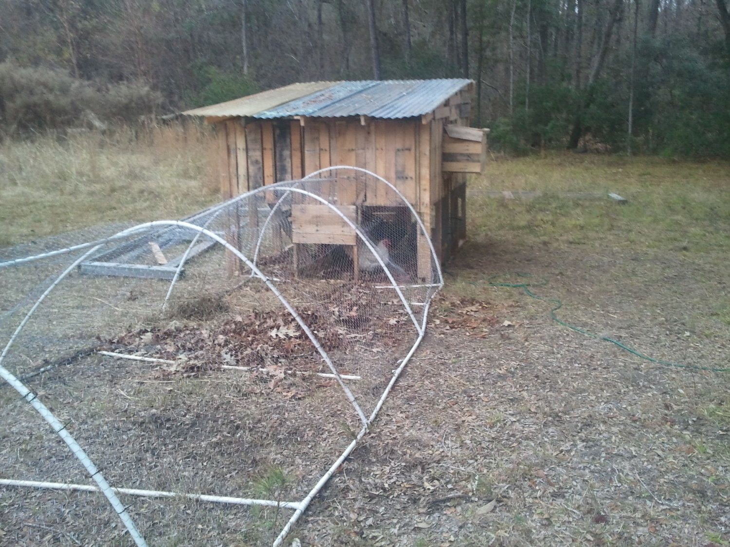 My new chicken coop made with pallets