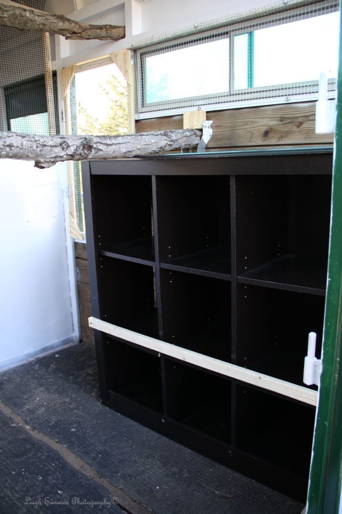 Horse Trailer to Chicken Coop Conversion - BackYard Chickens Community