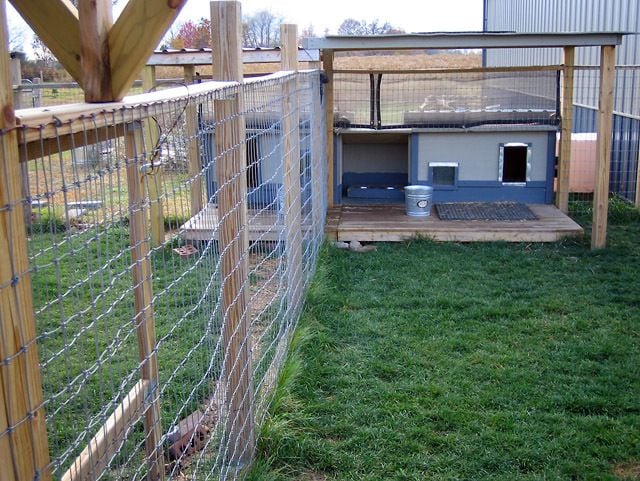 Coyote-proof coop? - Page 3