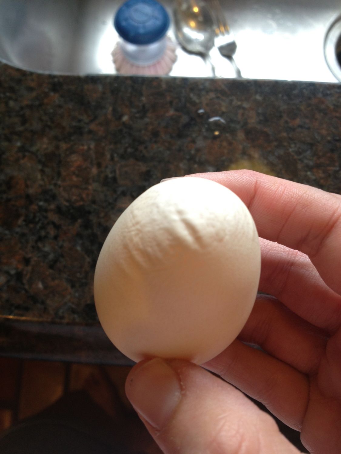 Soft shell eggs with blood, misshapen eggs, laying in flowerbeds all of a sudden