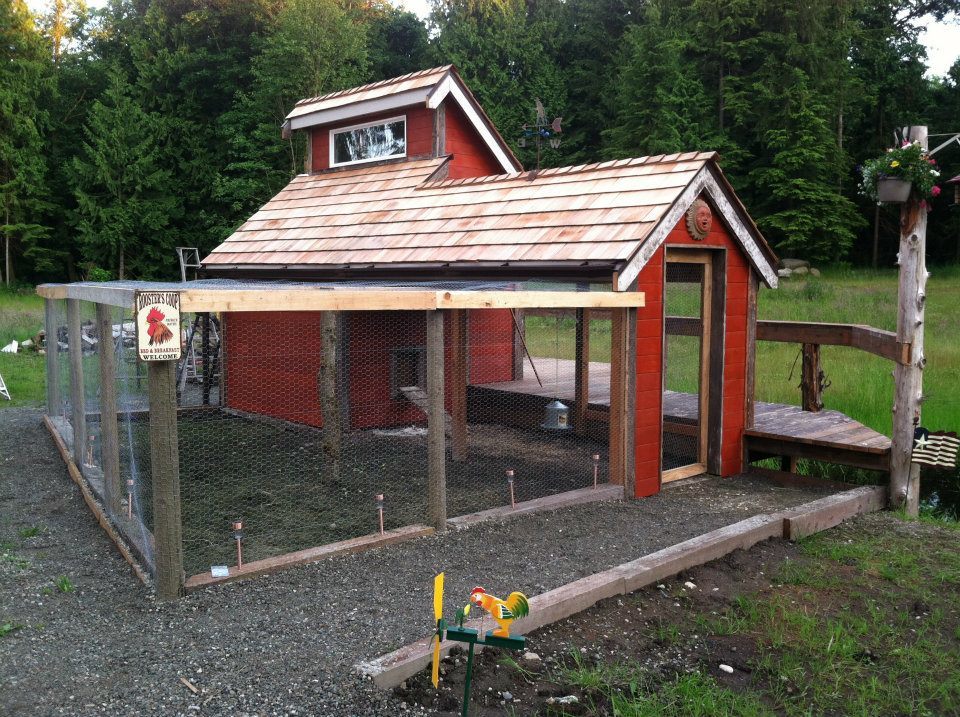 Old School Sky Light - BackYard Chickens Community