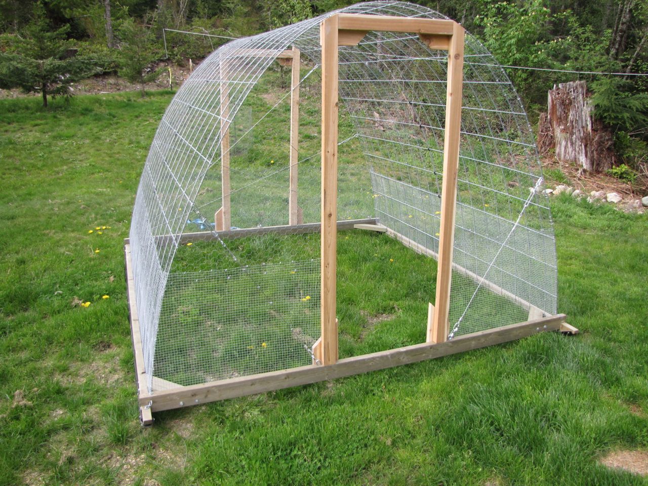 Our Hoop House/chicken tractor - Page 31