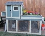 Small Chicken Coop Designs &amp; Pictures of Chicken Coops - BackYard 