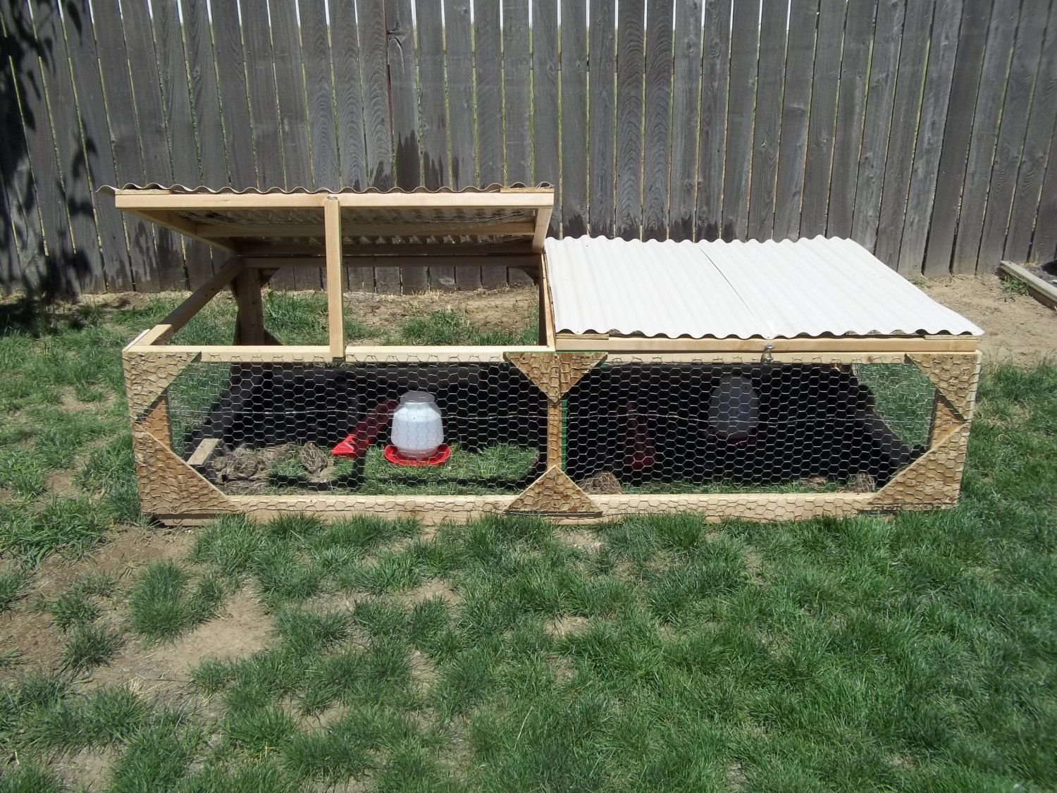 COOP 4'X8' Mobile Quail Chicken Duck Tractor "Eastern Washington State ...