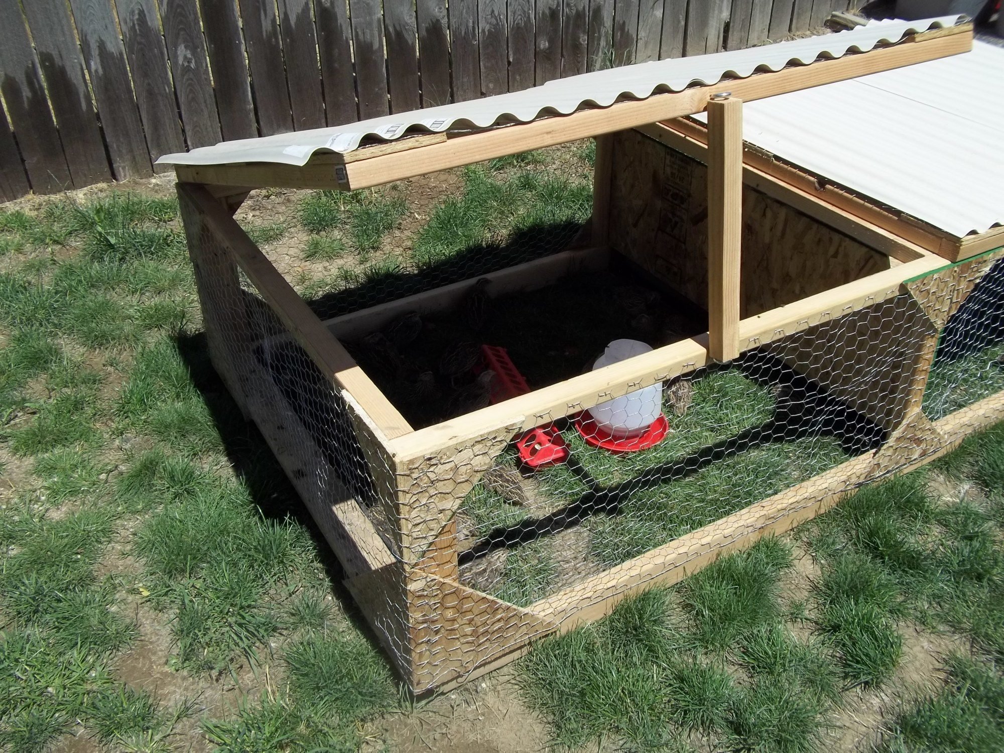 COOP 4'X8' Mobile Quail Chicken Duck Tractor "Eastern Washington State ...