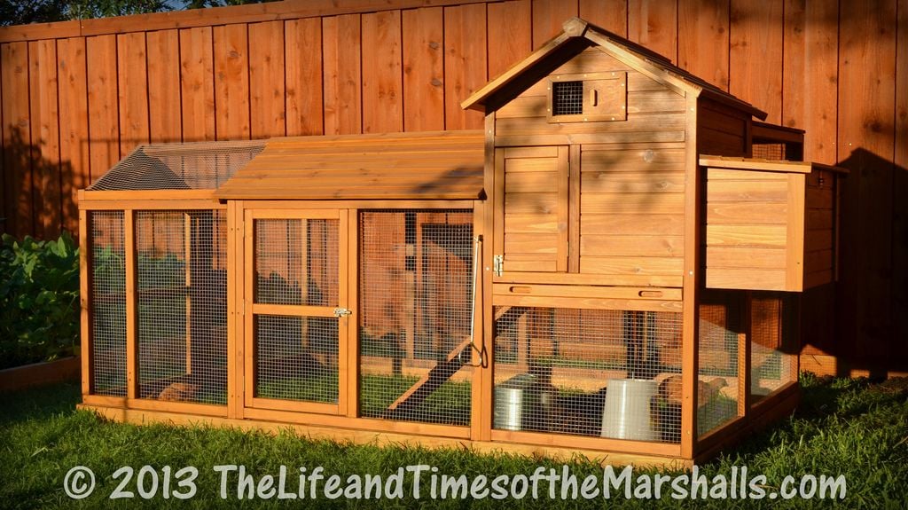 Pre-Built Chicken Coop Made Better with Modifications - BackYard ...