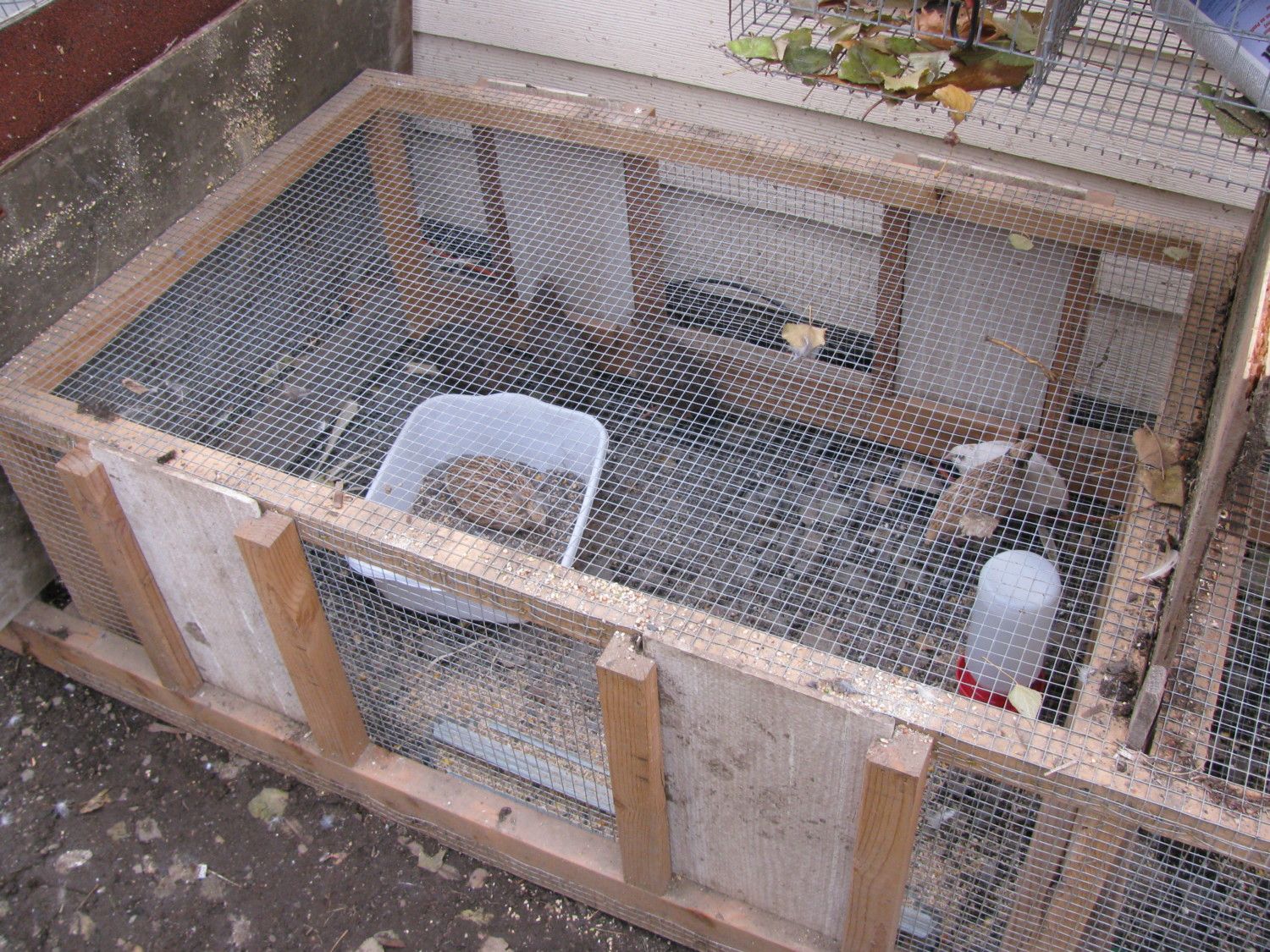 Quail Pens/Housing - Page 5