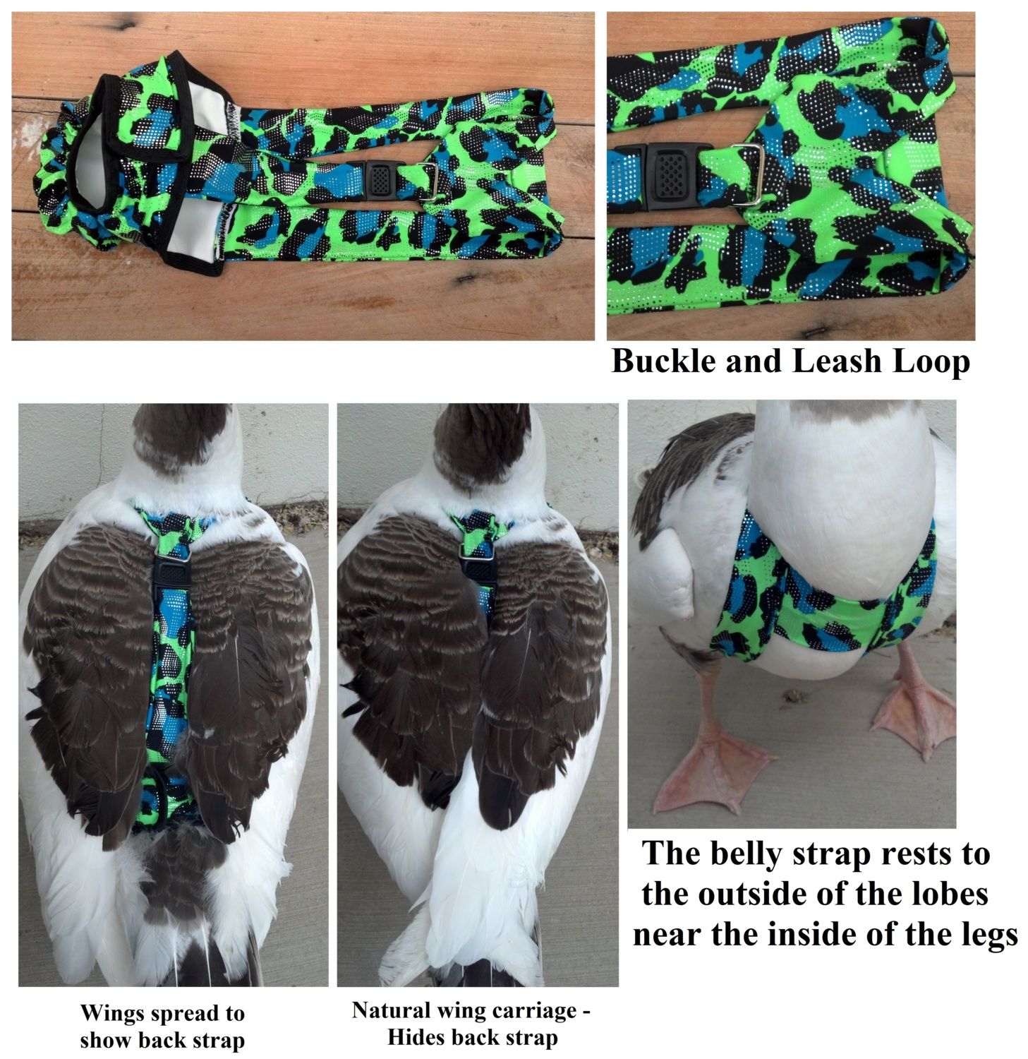 DIAPERS - Goose, Duck, Gosling/Duckling, Chicken, Bantam - DIAPERS $5 - $30