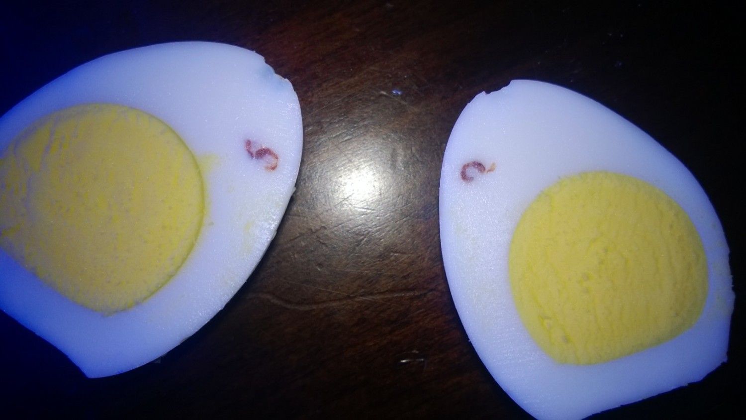 Worm in Egg?
