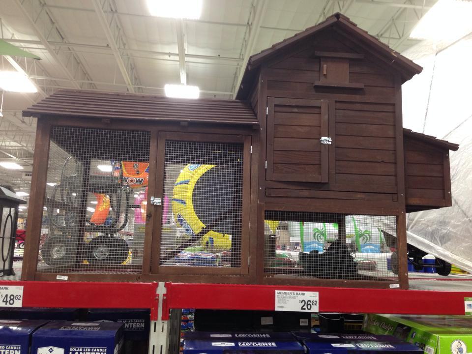 PICTURES OF MY COOP &amp; RUN