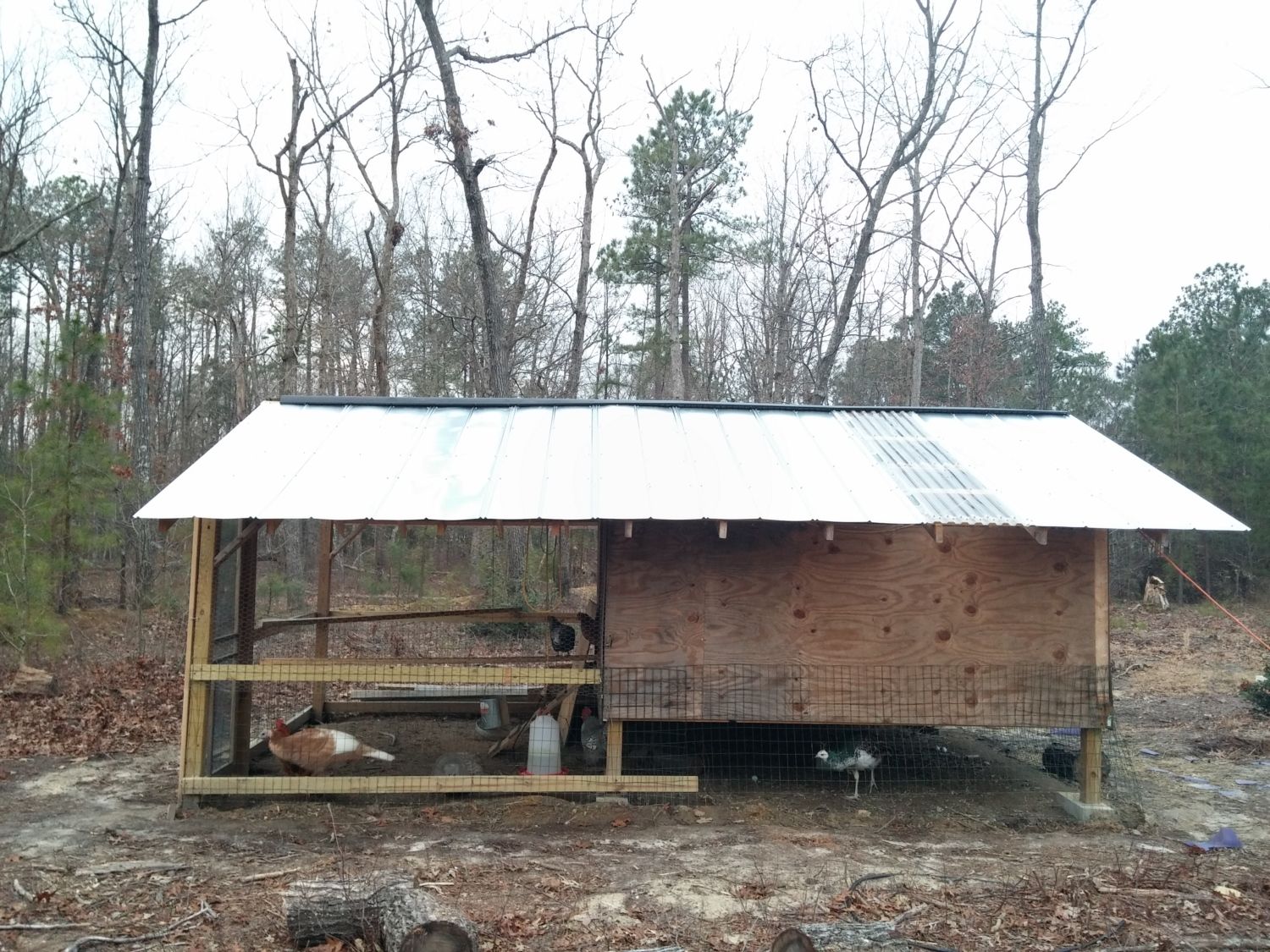 Building our Chicken Structure