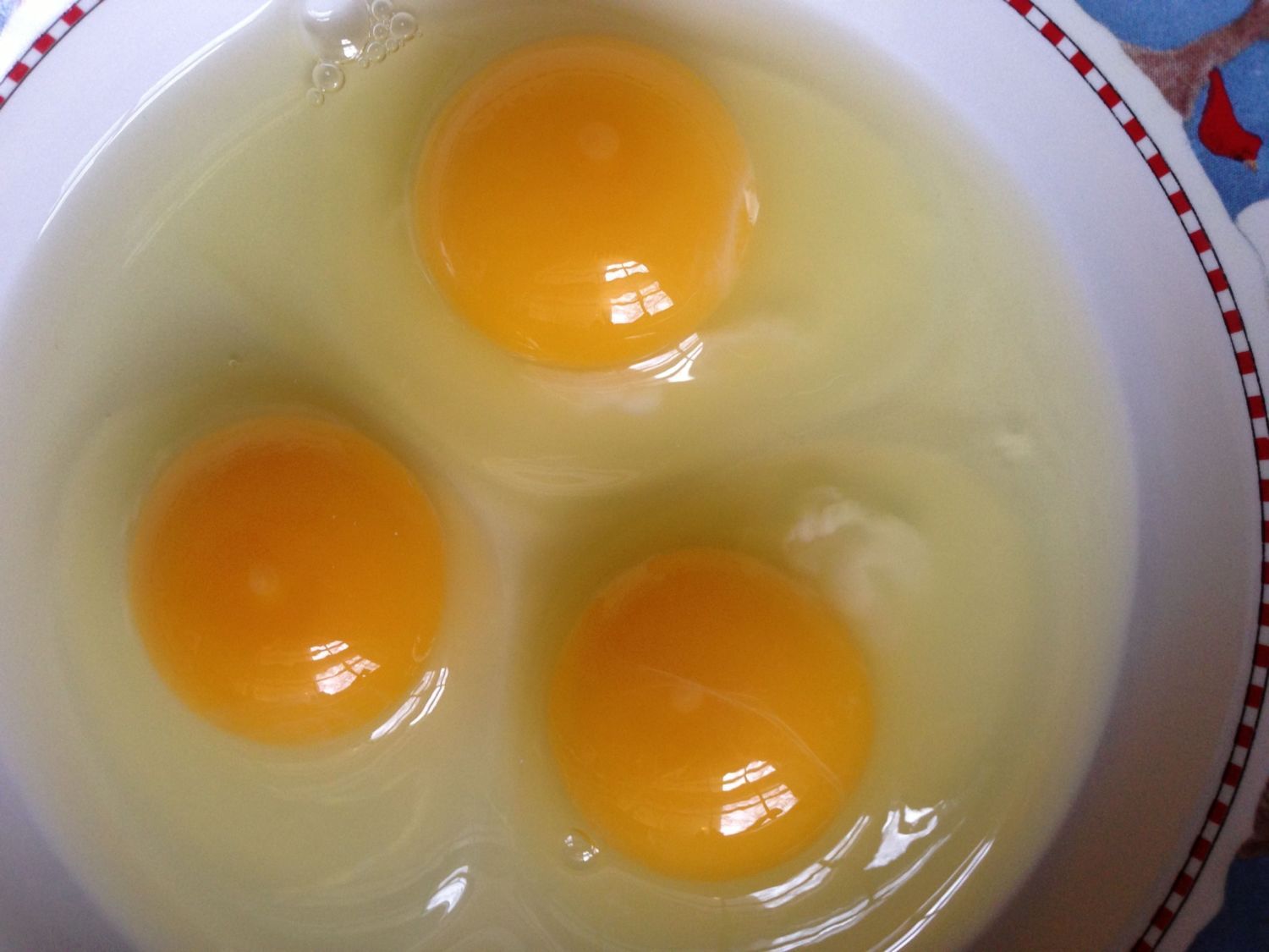 How to Tell a Fertile vs INfertile Egg (Pictures) Page 52