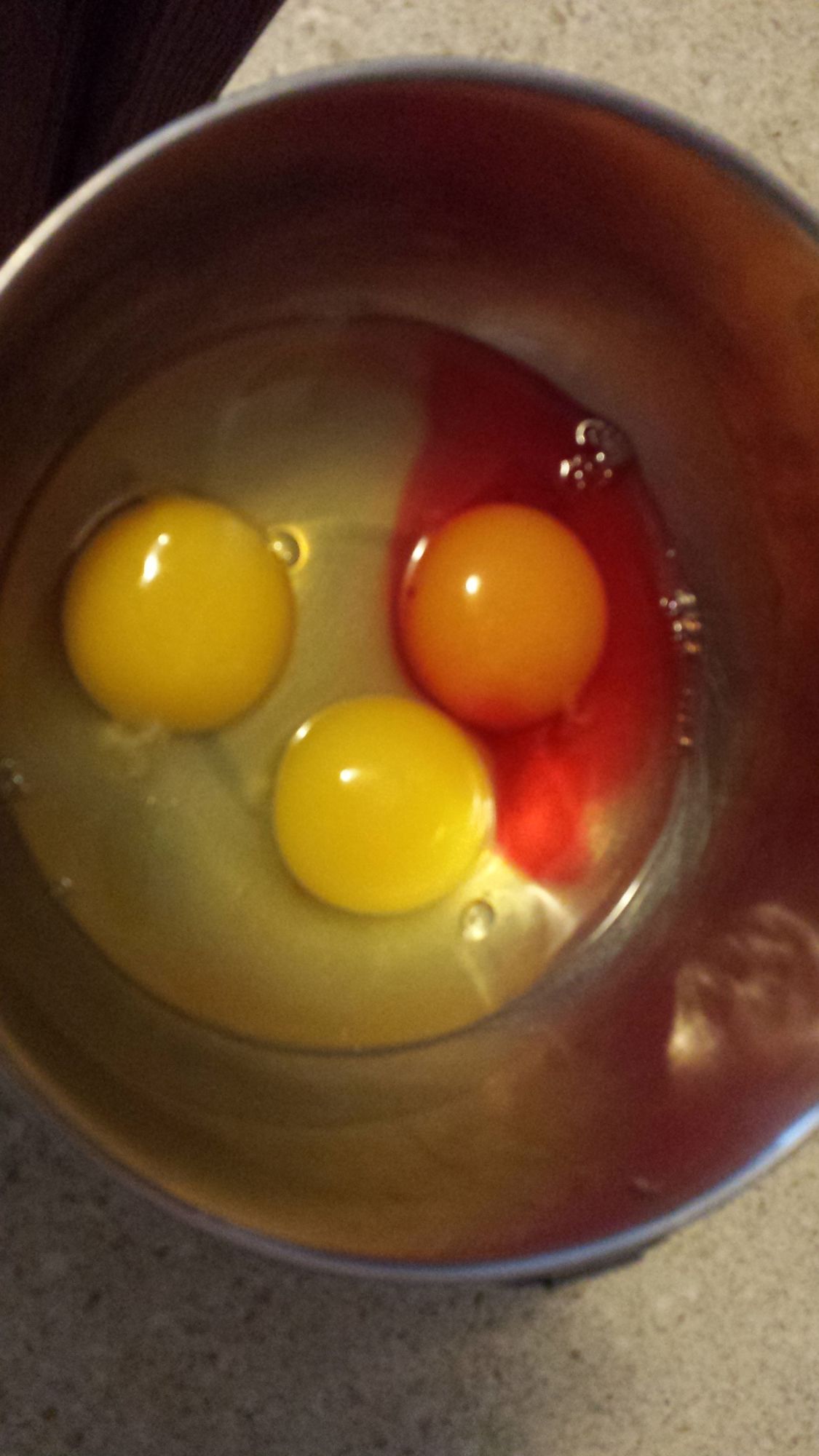 Roblox Tattletail Rp All Eggs