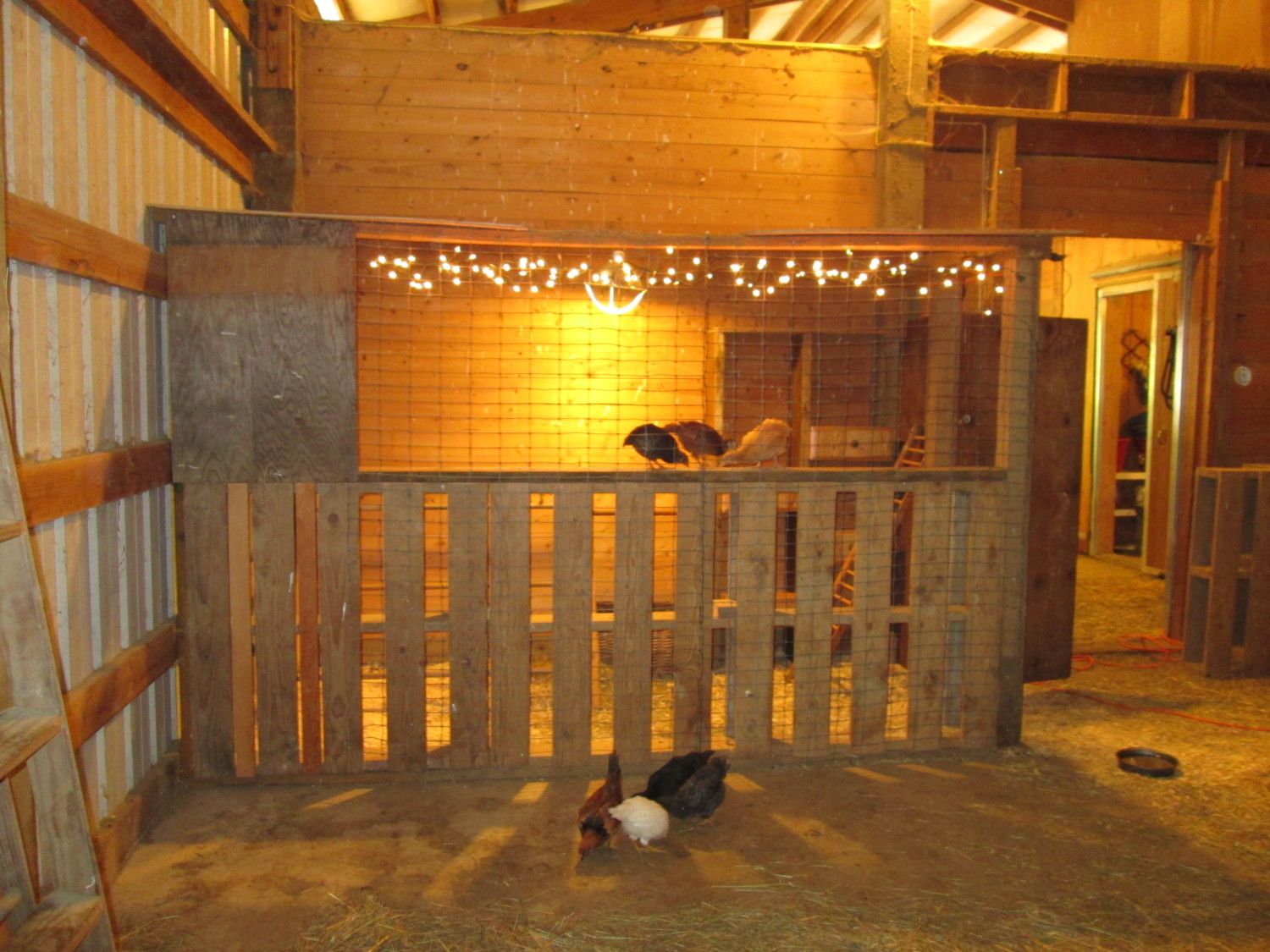 Chicken Coop Inside a larger barn