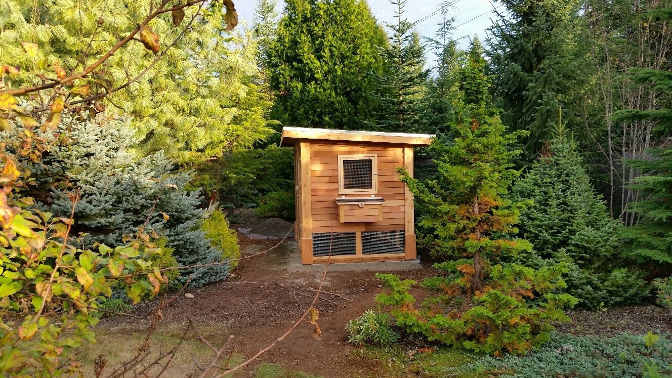 post your chicken coop pictures here! - Page 623