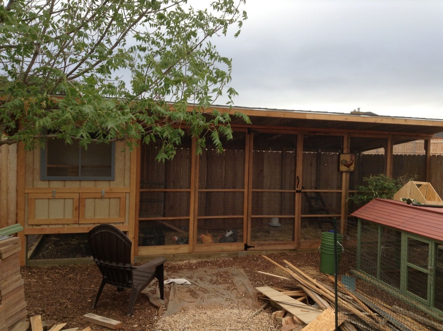 Deluxe West Texas Coop! BackYard Chickens Community