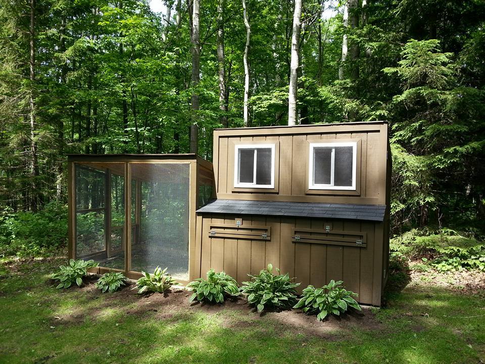 Our First Chicken Coop in Wisconsin - BackYard Chickens Community