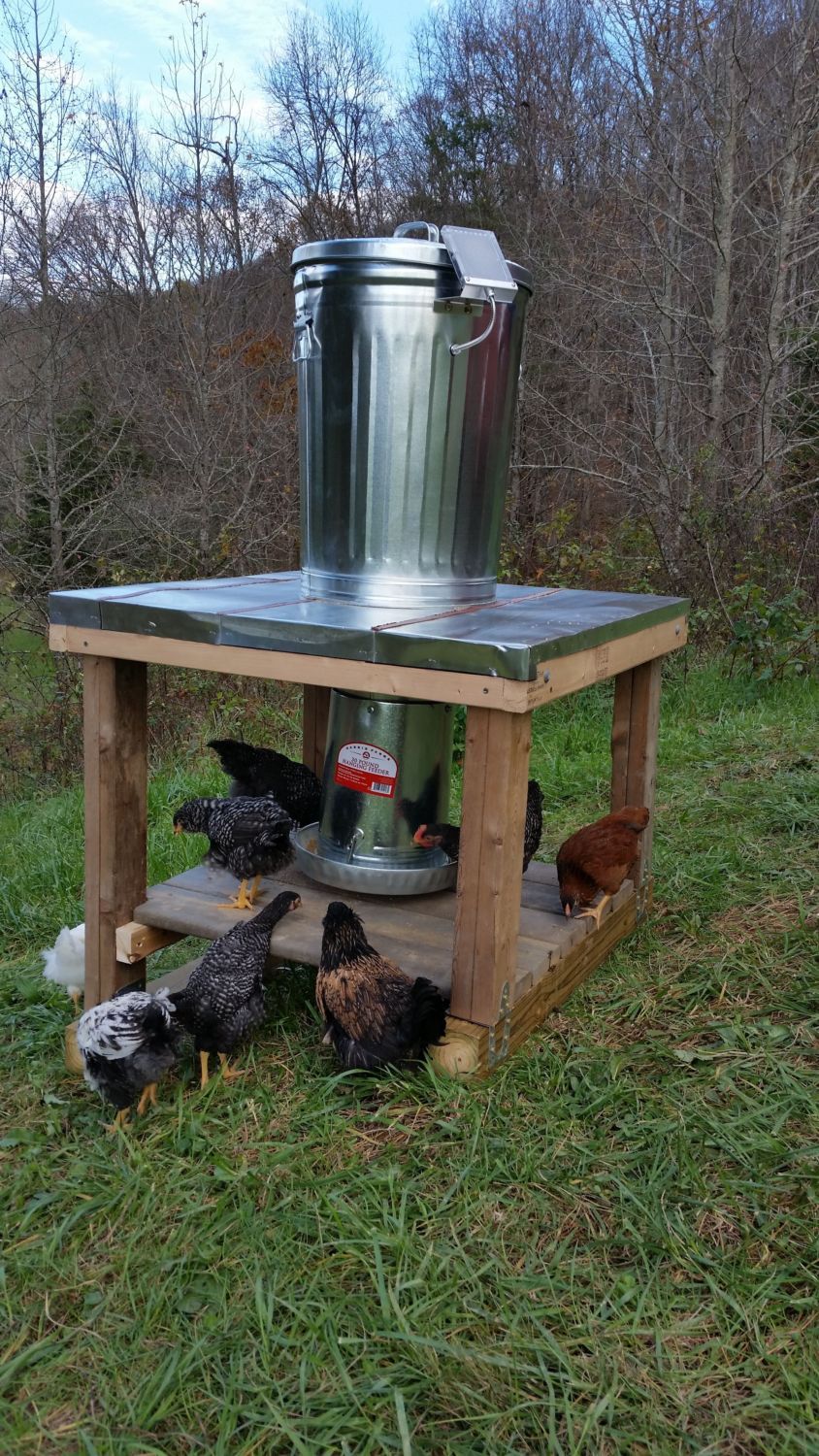 100+lb capacity automatic chicken feeder with solar panel