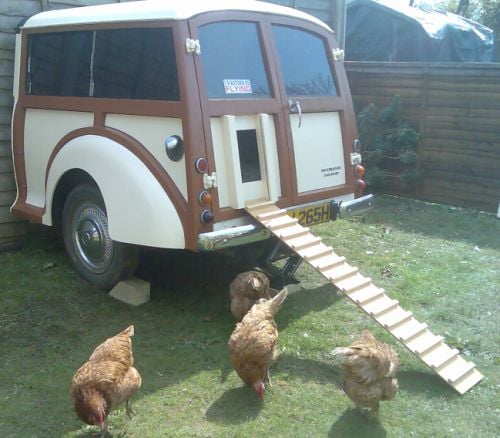 Backyard Chicken Coops